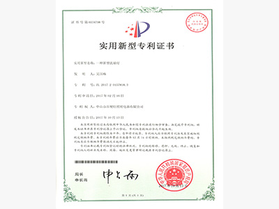 百视特-新型洗墙灯专利证书