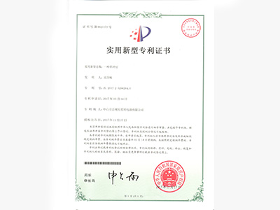 百视特-草坪灯专利证书